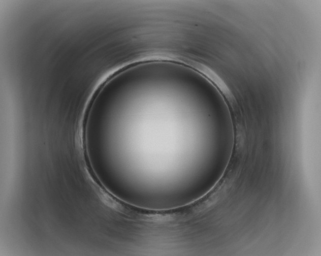 X0000113200996200909101108