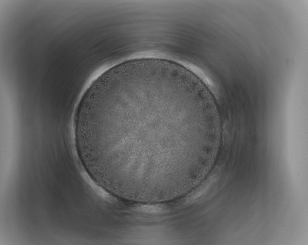 X0000113200998200909101108