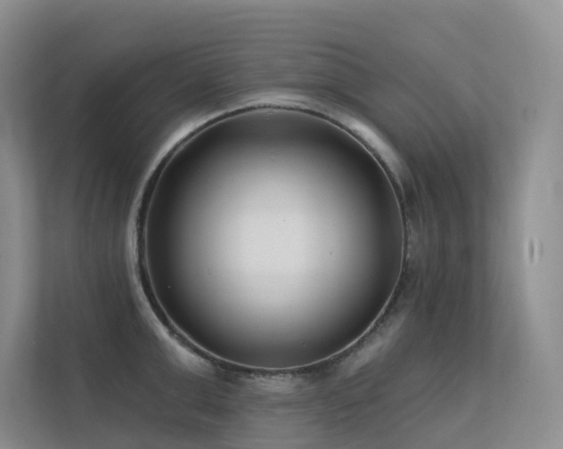 X0000113200999200909101108