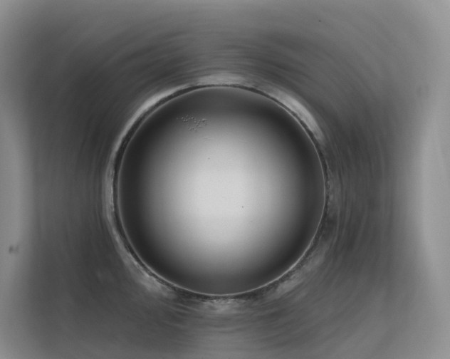 X0000113201000200909101108