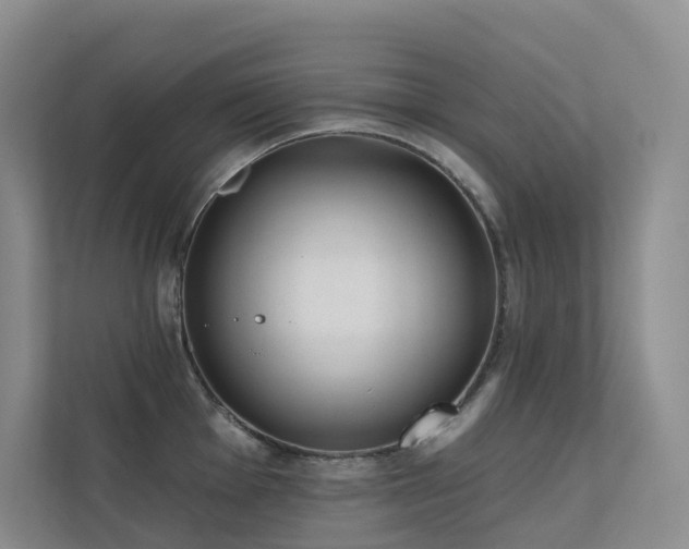 X0000113201001200909101108