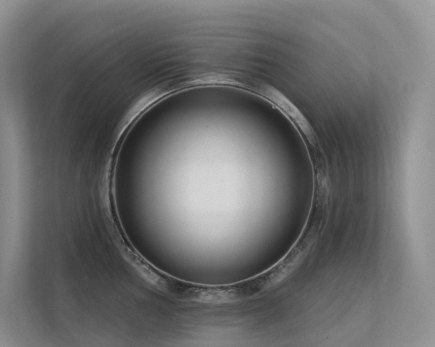 X0000113201002200909101108