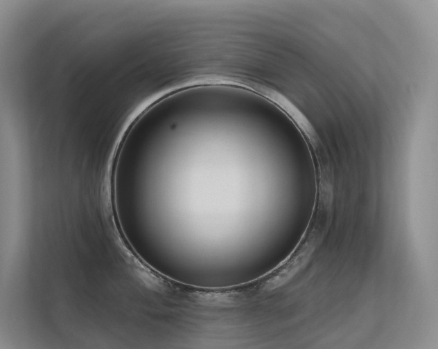 X0000113201004200909101108