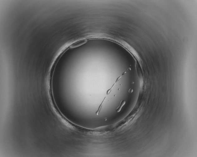 X0000113201005200909101108