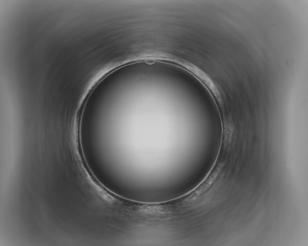 X0000113201006200909101108