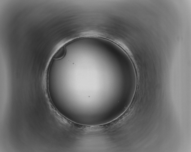 X0000113201008200909101108