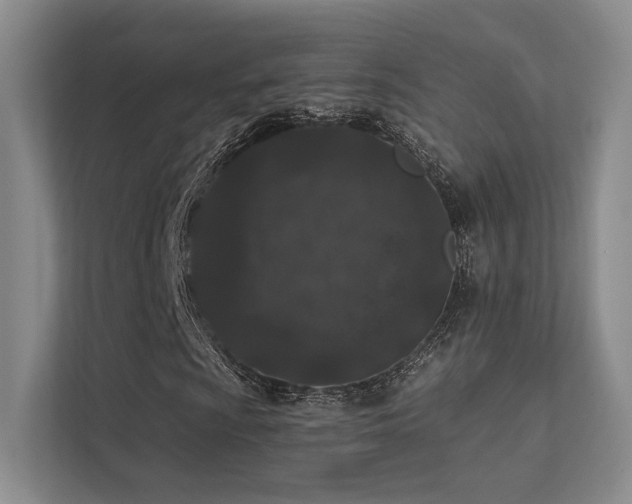 X0000113201009200909101107