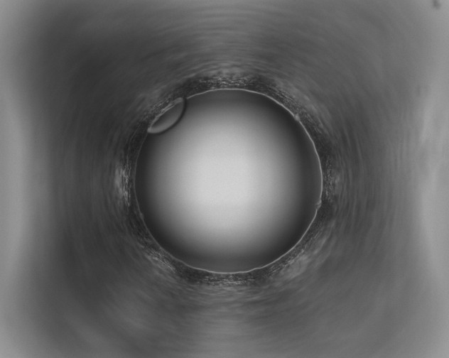 X0000113201010200909101107