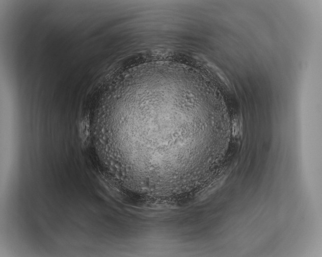 X0000113201011200909101107