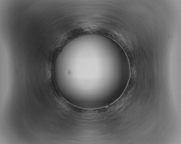 X0000113201012200909101107