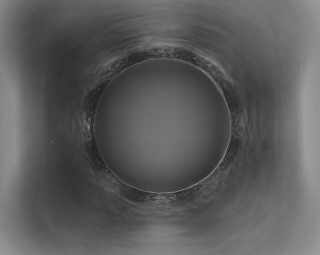 X0000113201013200909101107