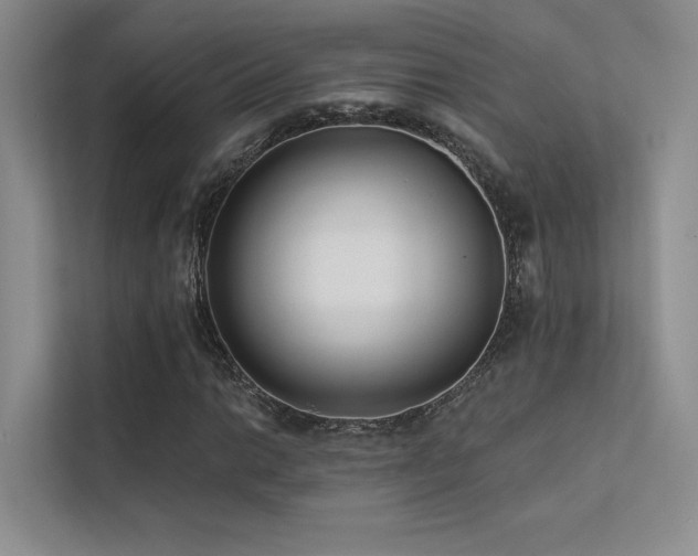 X0000113201014200909101107