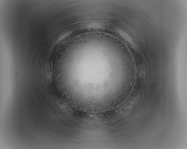 X0000113201015200909101107