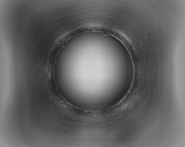 X0000113201016200909101107