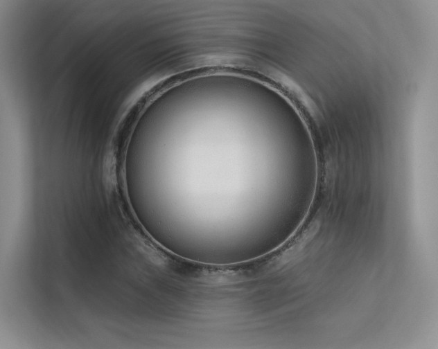 X0000113201019200909101107