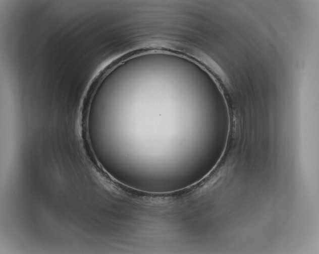 X0000113201020200909101107