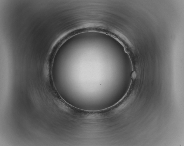 X0000113201021200909101107