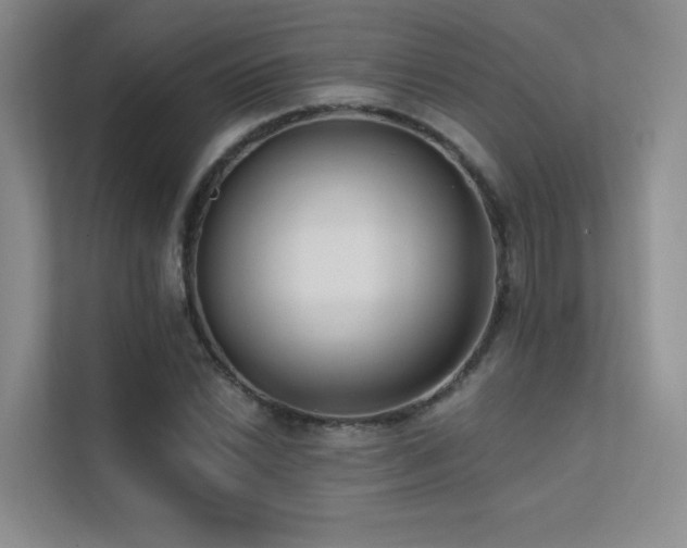 X0000113201022200909101108