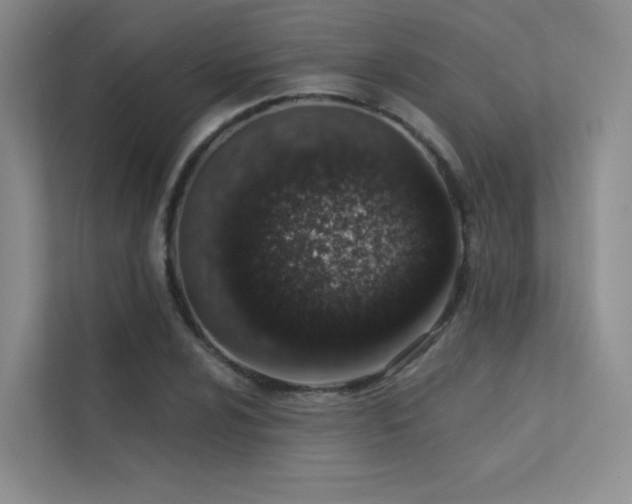 X0000113201024200909101108