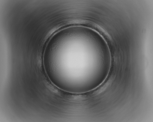 X0000113201025200909101108