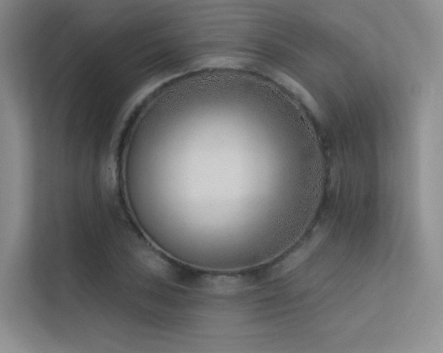 X0000113201027200909101108