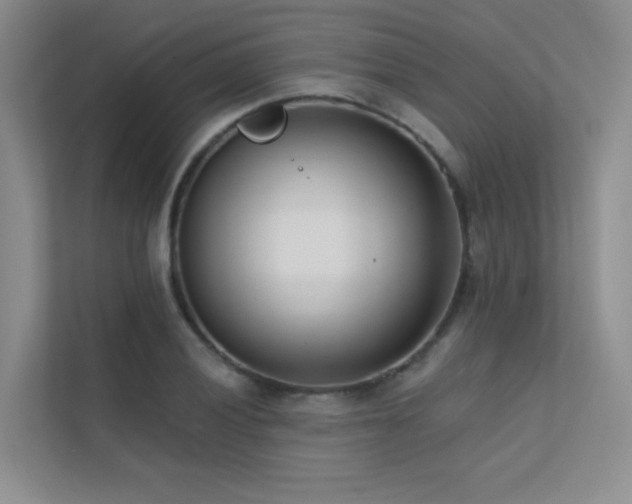 X0000113201028200909101108