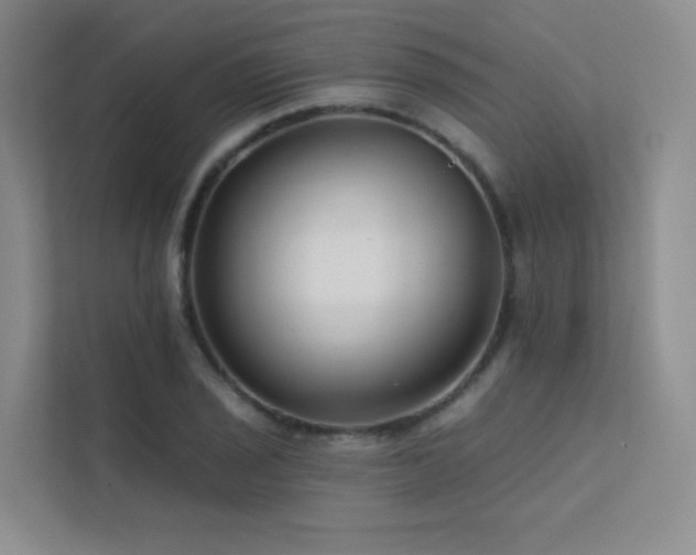 X0000113201029200909101108