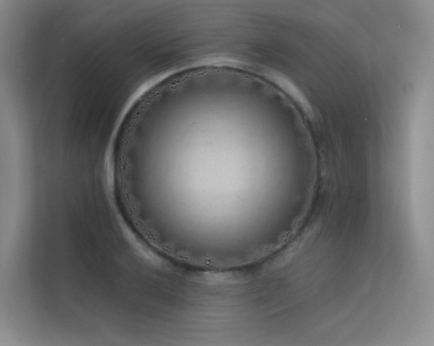 X0000113201032200909101108