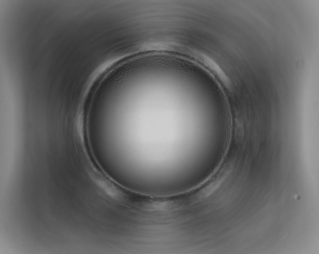 X0000113201035200909101108