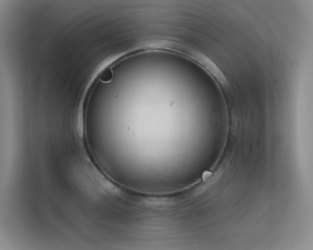 X0000113201036200909101108