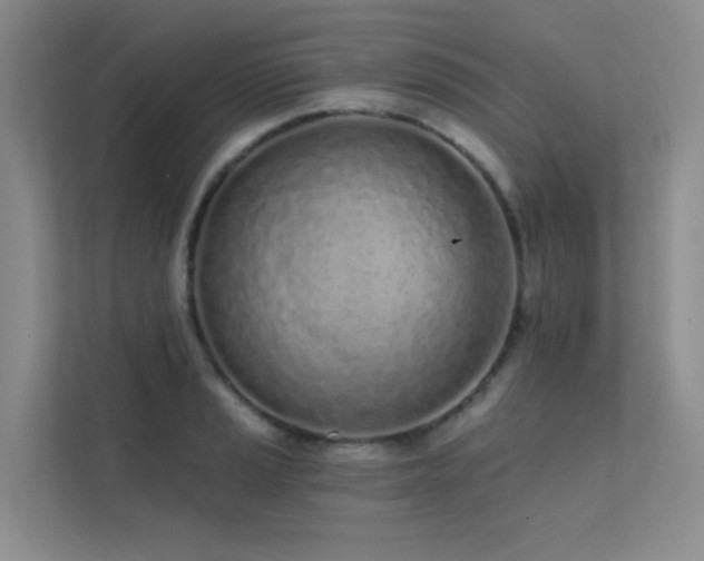 X0000113201037200909101108