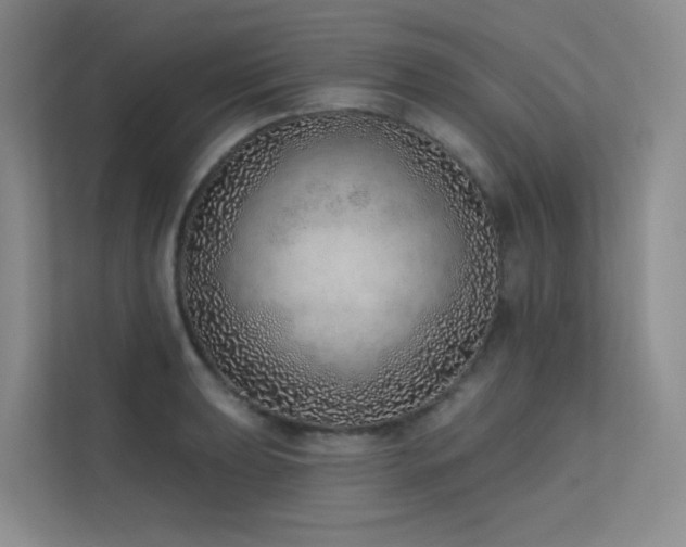 X0000113201039200909101108