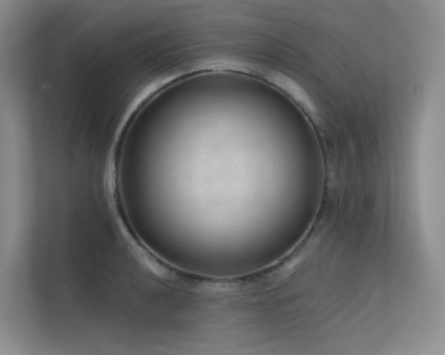 X0000113201040200909101108