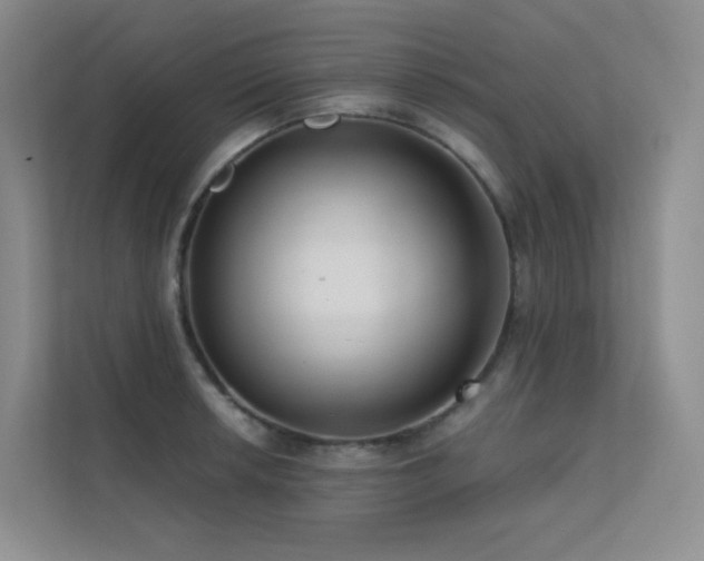 X0000113201042200909101108