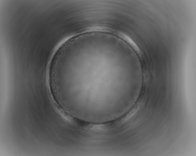 X0000113201043200909101108