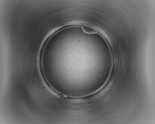 X0000113201045200909101108