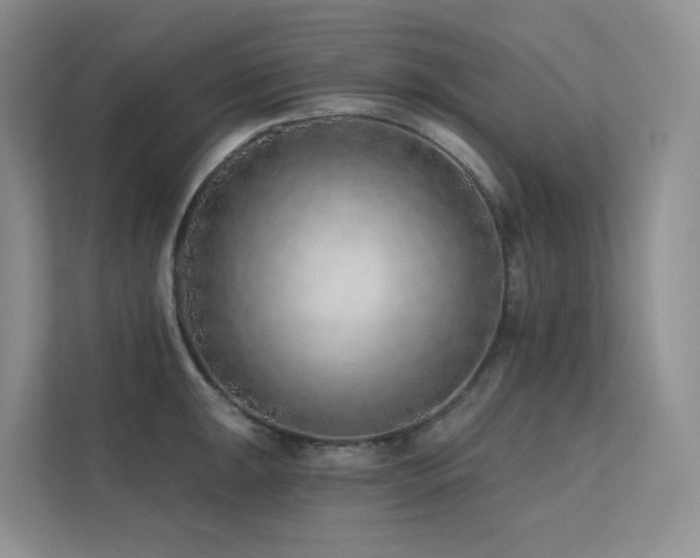 X0000113201047200909101108