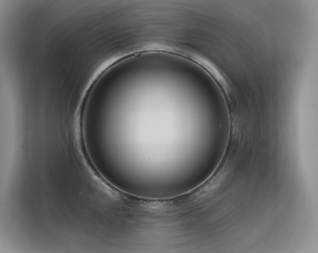 X0000113201048200909101108