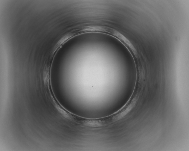 X0000113201049200909101108