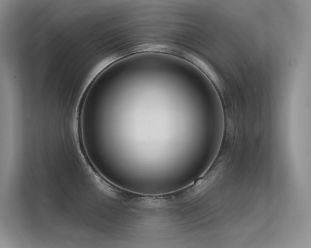 X0000113201050200909101108