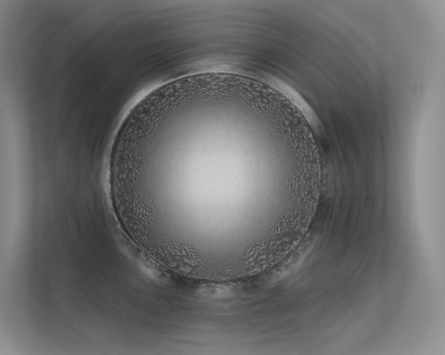 X0000113201051200909101108