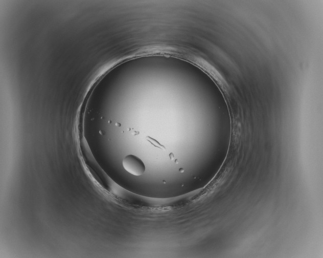 X0000113201055200909101108