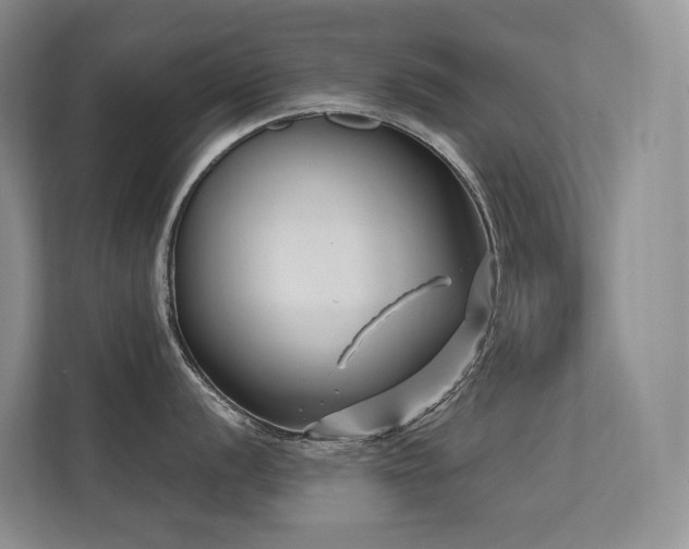 X0000113201056200909101108