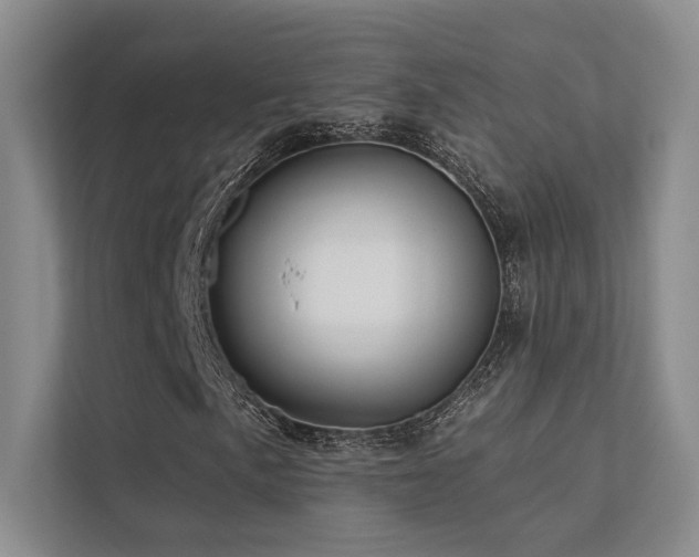 X0000113201057200909101107