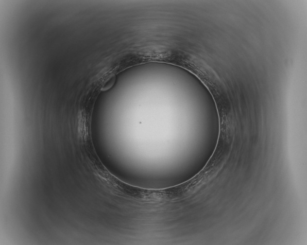 X0000113201058200909101107