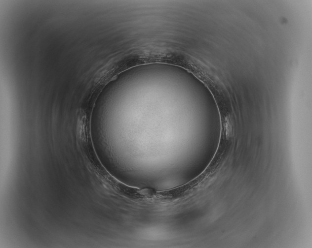 X0000113201059200909101107