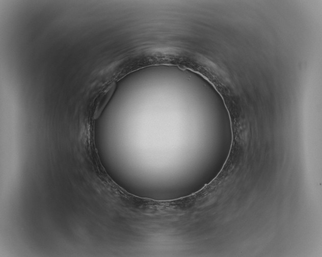 X0000113201061200909101107