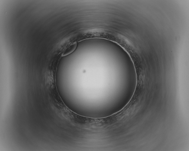 X0000113201062200909101107