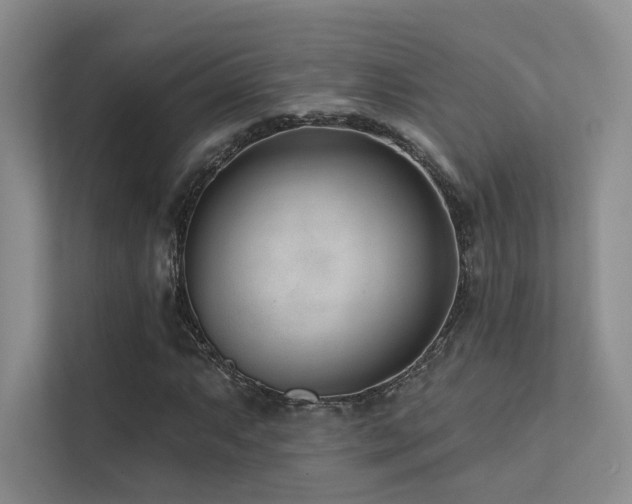 X0000113201063200909101107