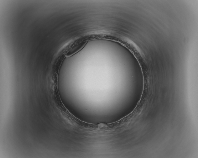 X0000113201064200909101107